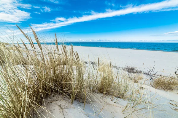 Mar paisagem de praia e céu azul. Duna de areia com grama, Leba, Mar Báltico, Polônia — Fotografia de Stock