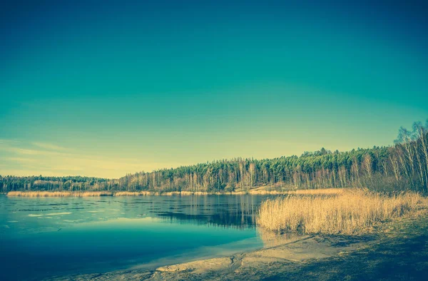 Paisagem lago selvagem, degelo início da primavera, foto do vintage — Fotografia de Stock