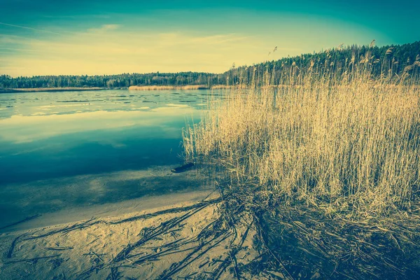 Дикое озеро пейзаж, винтажное фото — стоковое фото