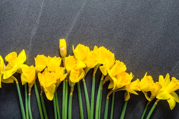 イースターの背景の水仙の花が咲き乱れる春 — ストック写真