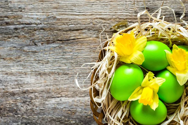 Fond de Pâques, panier avec oeufs de Pâques et jonquilles — Photo