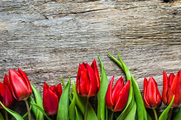 Tulipanes rojos, fondo para el día de las madres — Foto de Stock