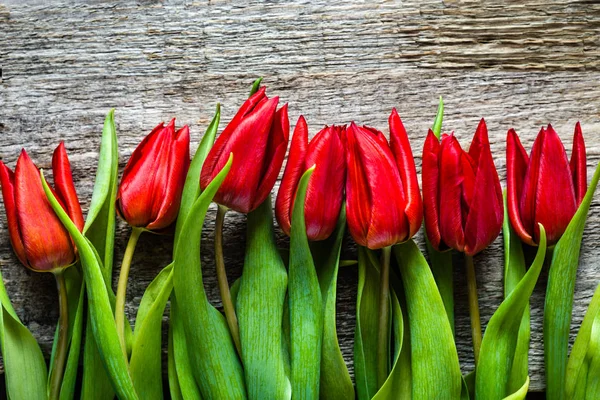 Tulipanes rojos, fondo del día de las madres — Foto de Stock