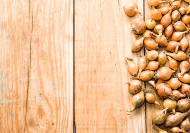 Soğancık soğan, Bahar sezonunda dikim fidan