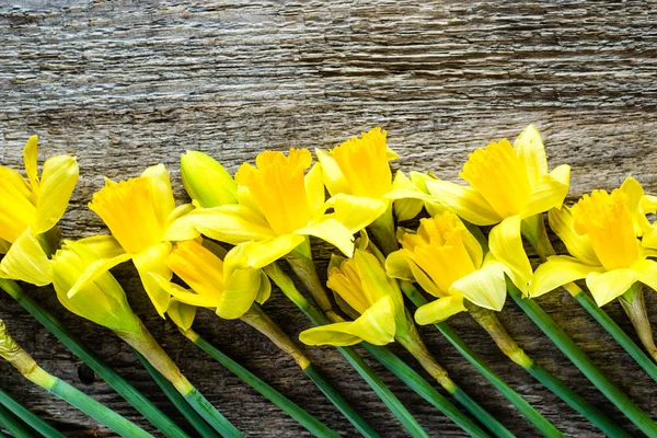Våren bakgrunder, Påskkort med påskliljor på trä — Stockfoto