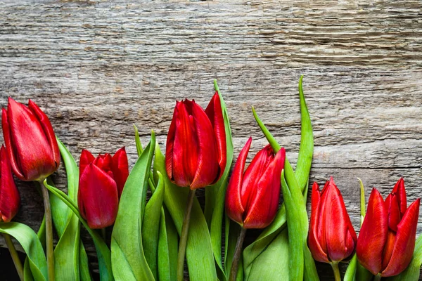 Tulipanes rojos, fondo con flores de primavera, tarjeta de día de las madres — Foto de Stock