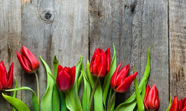Tulipanes rojos, fondo con flores de primavera, tarjeta de día de las madres — Foto de Stock