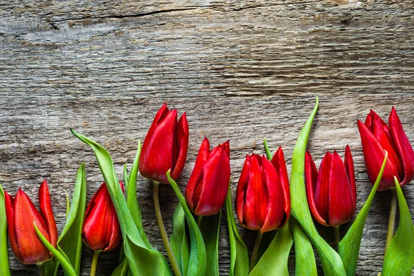 Tulipanes rojos, fondo con flores de primavera, tarjeta de día de las madres — Foto de Stock