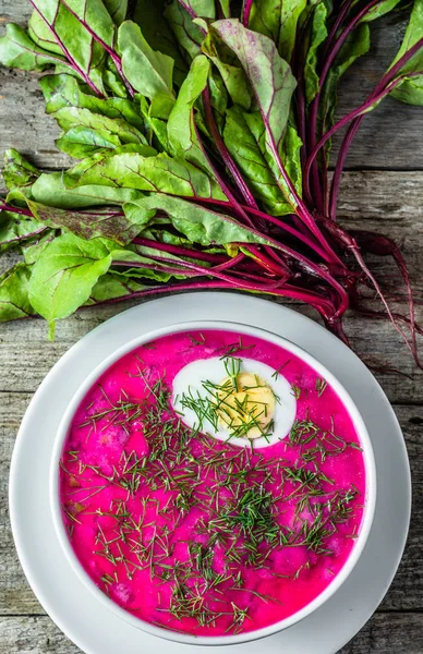 Холодний суп з листям буряка та овочами зелень, концепція вегетаріанської кухні — стокове фото