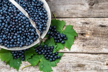 Sepet eski masada, ormandaki ek yükü çiftçi piyasa üzerinde olgunlaşmış meyve taze yaban mersini