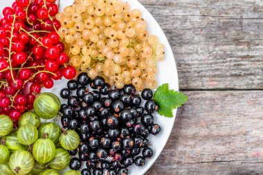 Yaz meyve çeşitleri: kırmızı kuş üzümü, beyaz kuş üzümü ve blackcurrants plaka üzerinde ana sayfa görünümü
