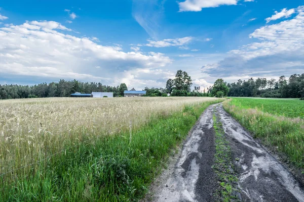 Toprak yol tarım arazileri yaz, manzara Köyü üzerinden — Stok fotoğraf