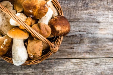 Sonbahar sezonu hasat içinde taze mantar sepeti çörek ormandan gelen