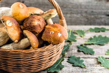 Boletus mantar sepeti ahşap tablo