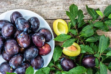 Erik plaka ve erik ağacı dalı rustik arka plan üzerinde ıslak