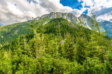 Giewont Tatra Dağları, yaz, peyzaj, Polonya tepesinde
