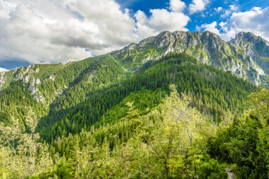Dağ yaz manzara, Polonya Tatra Dağları, üst