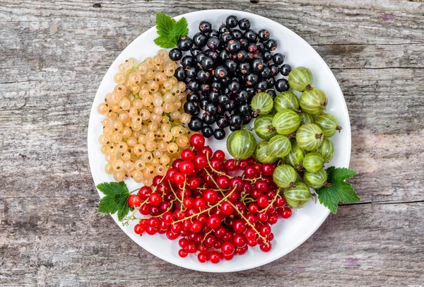 Yaz meyve çeşitleri: kırmızı kuş üzümü, beyaz kuş üzümü ve blackcurrants plaka üzerinde ana sayfa görünümü