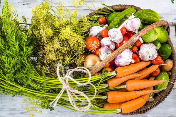Verduras surtidas, productos orgánicos en cesta, antecedentes de alimentos vegetarianos — Foto de Stock