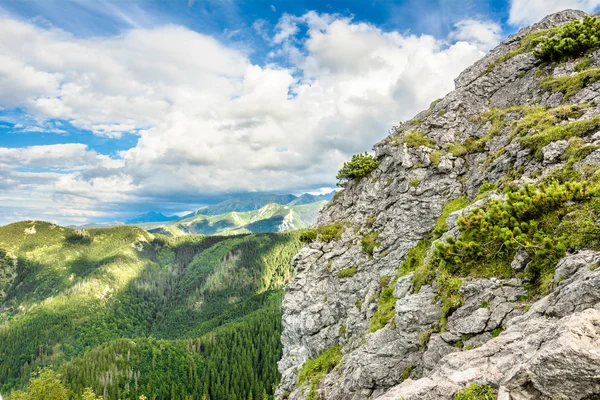 Rocky mountain i Tatrabergen, utsikt över skogen från toppen av Sarnia Skala, sommar, landskap, Polen — Stockfoto