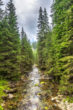 Hızlı nehirde dağlar, Bahar manzara