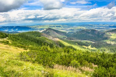 Dağlar, Bahar manzara mavi gökyüzü ve çam ormanı ile şehirde Panoraması