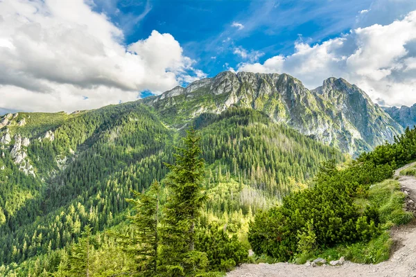 Panorama hor, pohled na Giewont v Tatrách, léto, krajina, Polsko — Stock fotografie