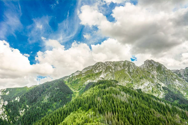 Panorama gór, wiosnę krajobraz, pasmo górskie pokryte sosnowym lesie — Zdjęcie stockowe