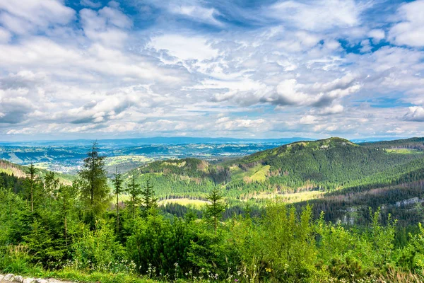 Grön skog i bergen, landskapet i vårsäsongen — Stockfoto