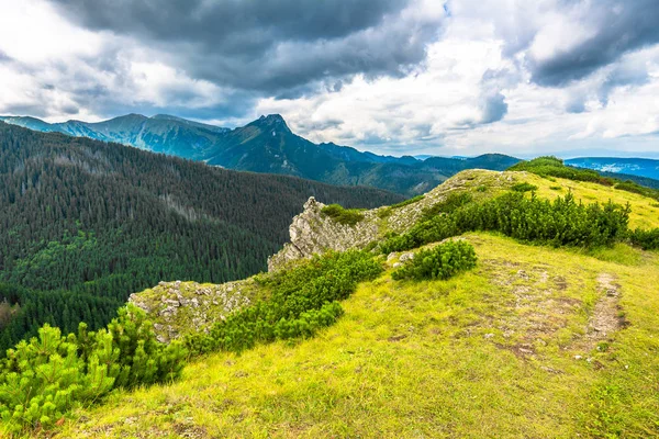 Landskap av berg i våren, panoramautsikt över vista från toppen på kanten av stupet, bergskedjan täcks skog — Stockfoto