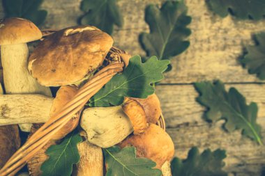Taze mantar sepeti, rustik tablo, vintage fotoğraf ormandaki hasat çörek