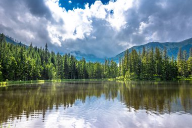 Polonya, yaz manzara orman, Tatra Dağları Milli Parkı içinde dağ gölü