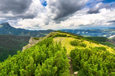Dağ sırtı yeşil orman. Tatra Dağları, peyzaj, seyahat arka plan yaz