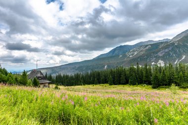 Dağlar, kırsal manzara içinde sığınak Tatra Mountain milli parkta yeşil arazi çevrili