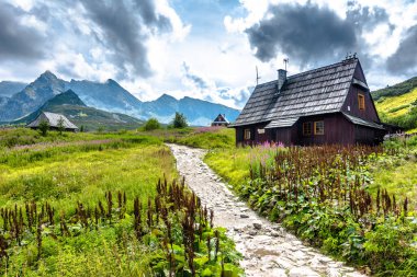 Dağ hiking trail Tatra Dağları, yaz peyzaj içinde