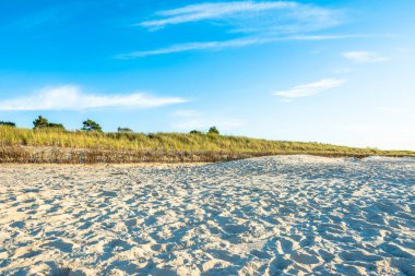 Sandy beach yaz arka plan mavi gökyüzü altında