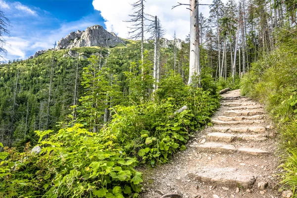 Sentier de randonnée en montagne, paysage, sentier avec rochers menant au sommet de la montagne — Photo