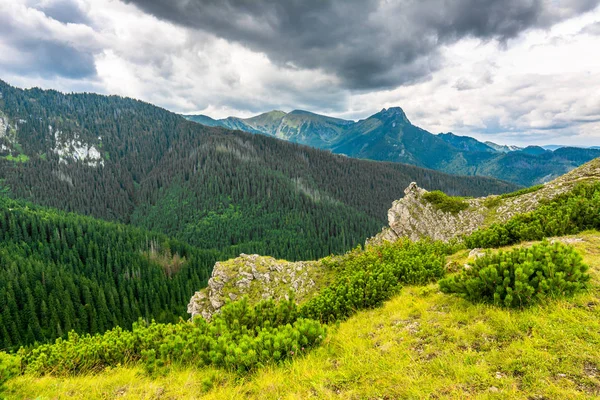 Krajobraz góry pokryte lasem, widok ze szczytu na skraju przepaści — Zdjęcie stockowe