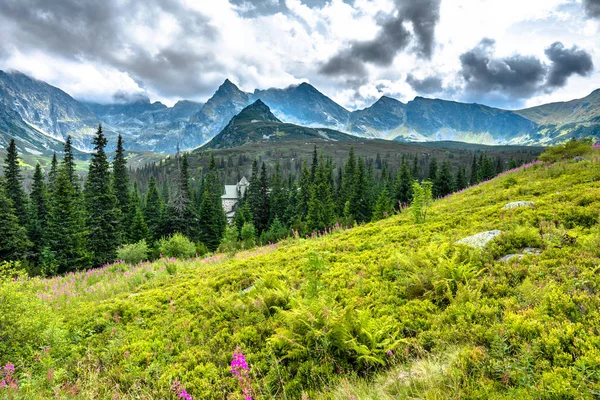 Terreno di montagna idilliaco con scenario paesaggistico, baita in verde valle, paesaggio estivo — Foto Stock