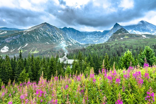 Idilli hegyi land vidéki élettel, hegyi kunyhó az erdőben, nyári táj — Stock Fotó