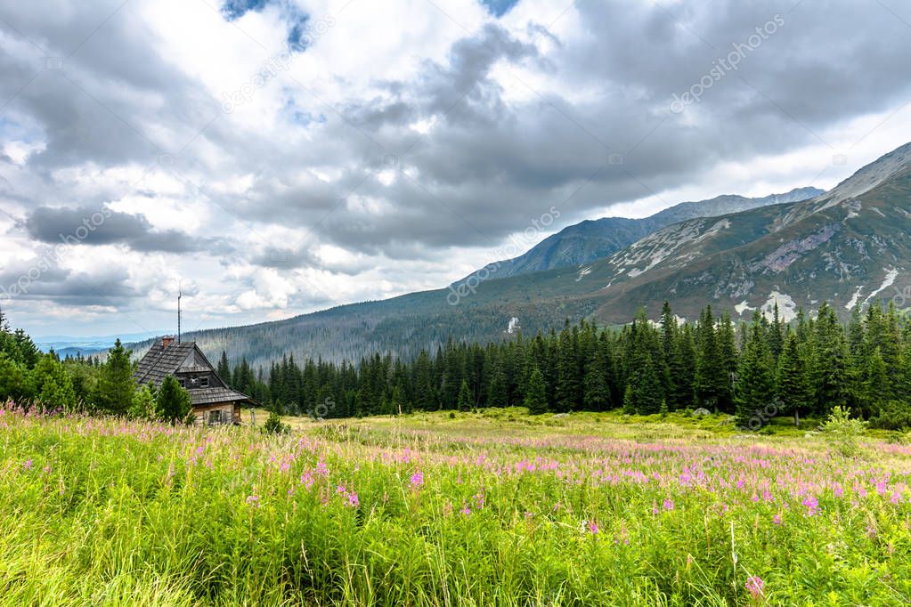 Shelter in the mountains, landscape of countryside surrounded green land of national park in Tatra Mountain