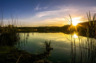 Gün batımı göl, güneş düşmek ormanda