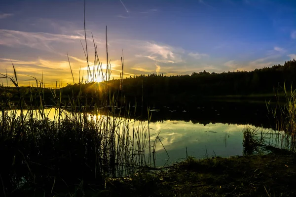 夕日森の中の湖で共倒れになります。 — ストック写真