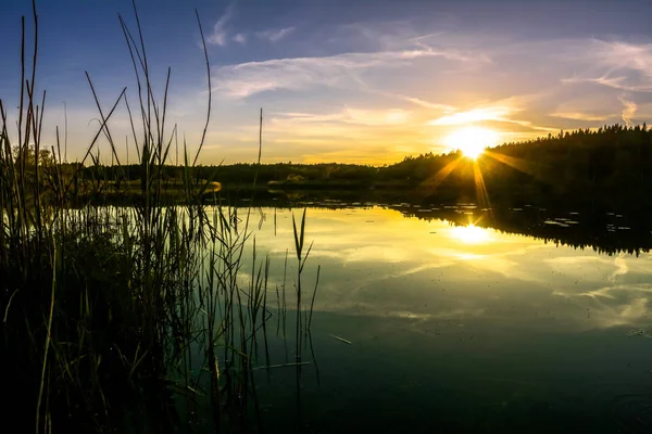 Puesta de sol en el lago, caída de sol en el bosque — Foto de Stock