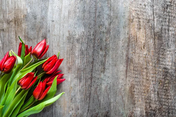 Tulipanes rojos, ramo de flores, fondo de primavera o tarjeta de día de las madres — Foto de Stock