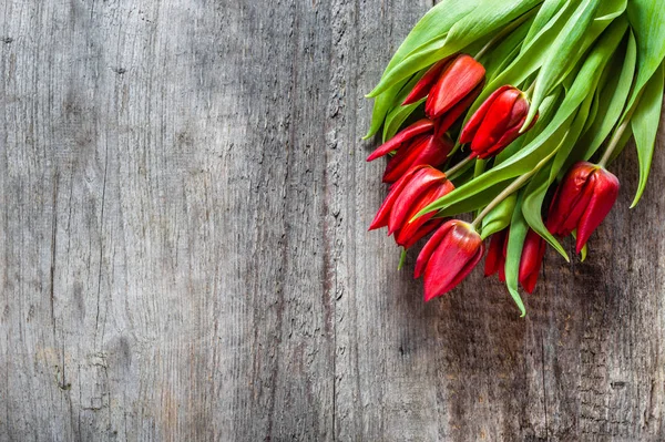 Tulipanes rojos, ramo de flores, fondo de primavera o tarjeta de día de las madres — Foto de Stock