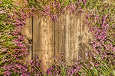 Heather çiçek ahşap arka plan, sonbahar çiçekli çerçeve