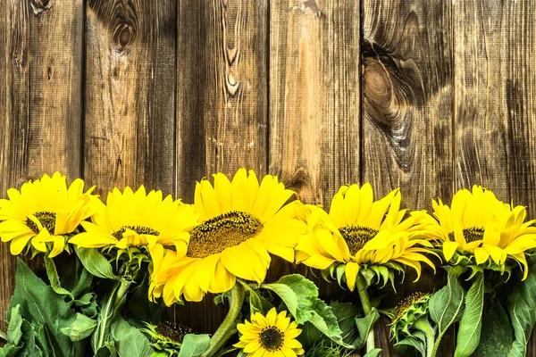 Подсолнухи на деревянном фоне, цветы рамка — стоковое фото
