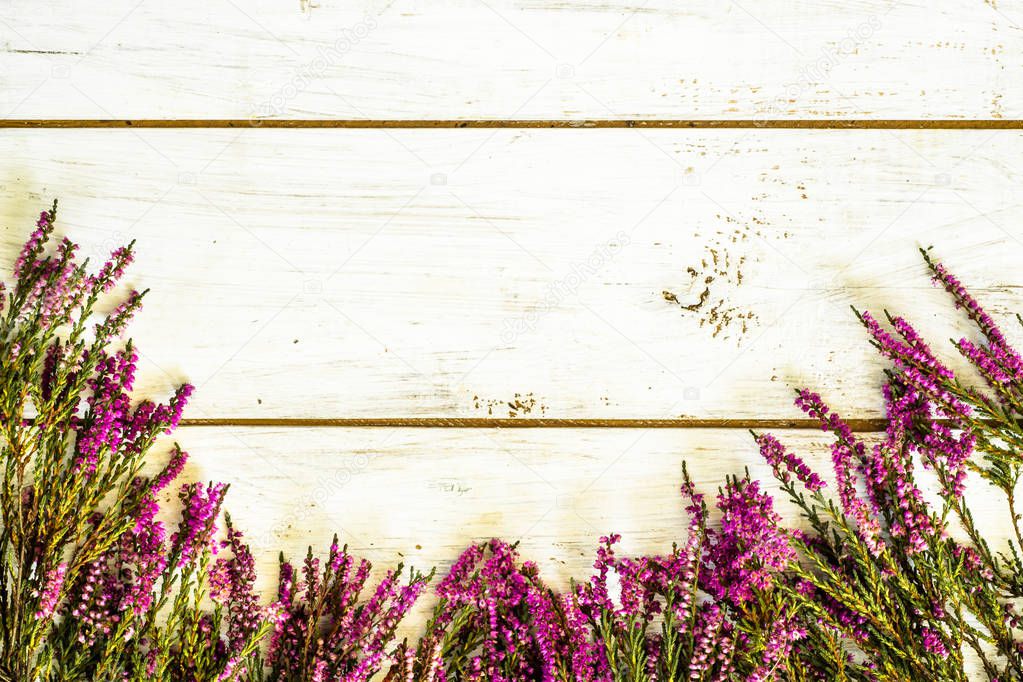 Heather flowers on wooden background, autumn flowers frame