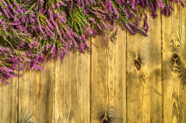Heather çiçekler, sonbahar arka plan, çerçeve çiçek